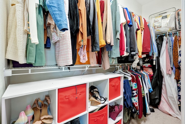 walk in closet with carpet floors