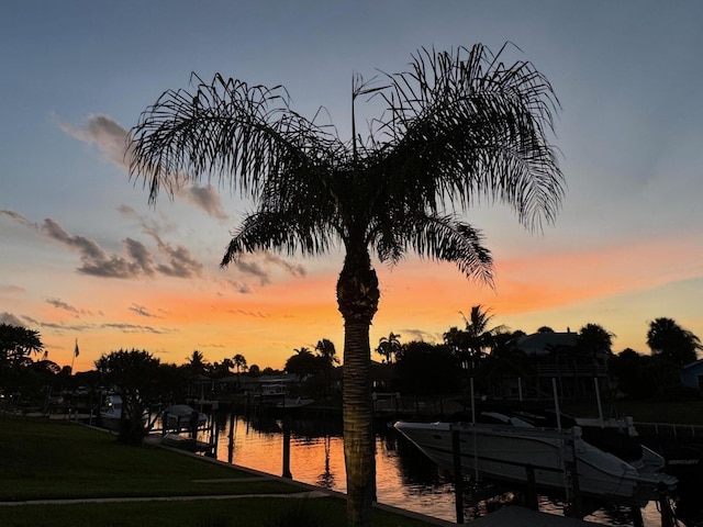 property view of water featuring a boat dock