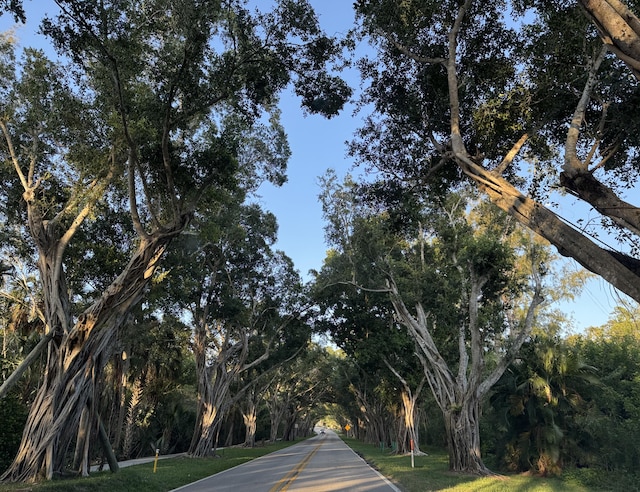 8579 SE Sabal St, Hobe Sound, FL 33455 - view of surrounding community
