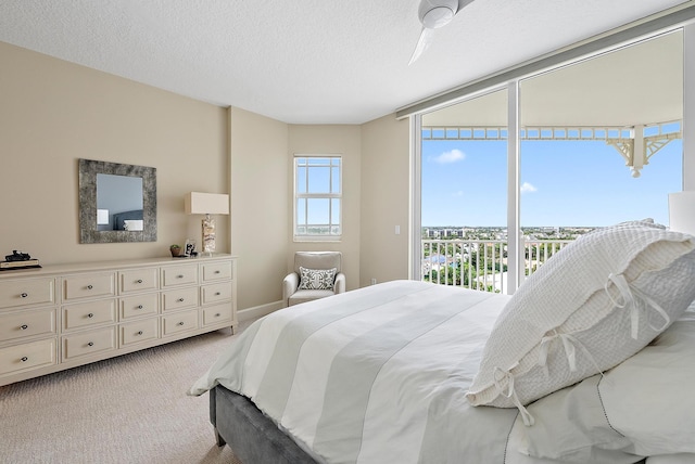 carpeted bedroom with a textured ceiling, baseboards, and access to exterior