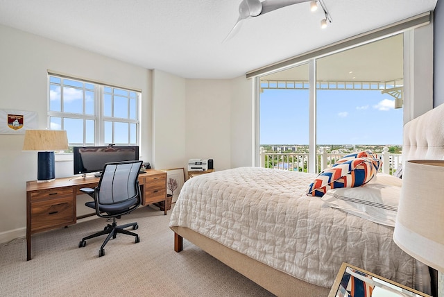 carpeted bedroom featuring baseboards and track lighting