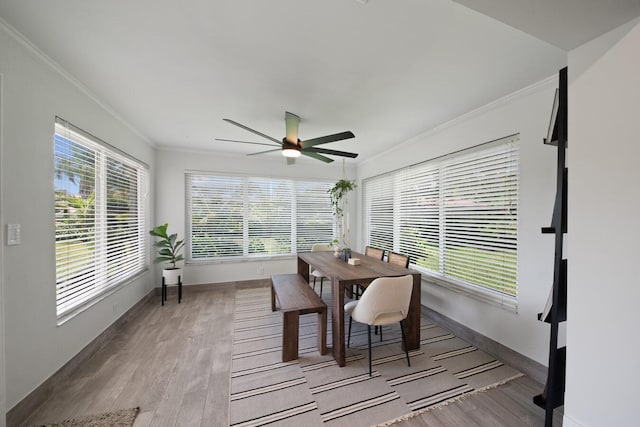 dining room featuring ceiling fan, baseboards, crown molding, and wood finished floors