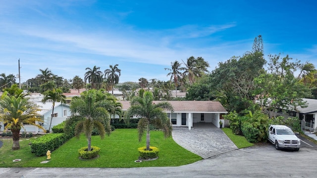 view of front of house featuring driveway, an attached carport, and a front yard