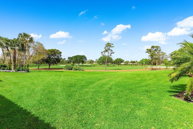 view of property's community featuring a yard