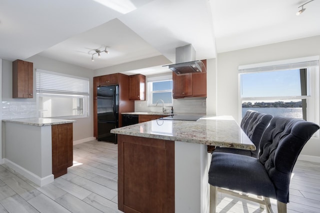 kitchen with a peninsula, black appliances, plenty of natural light, and decorative backsplash