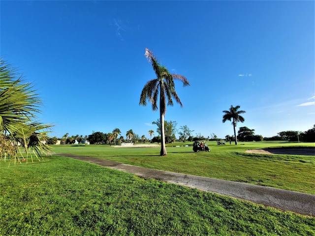 surrounding community featuring a lawn