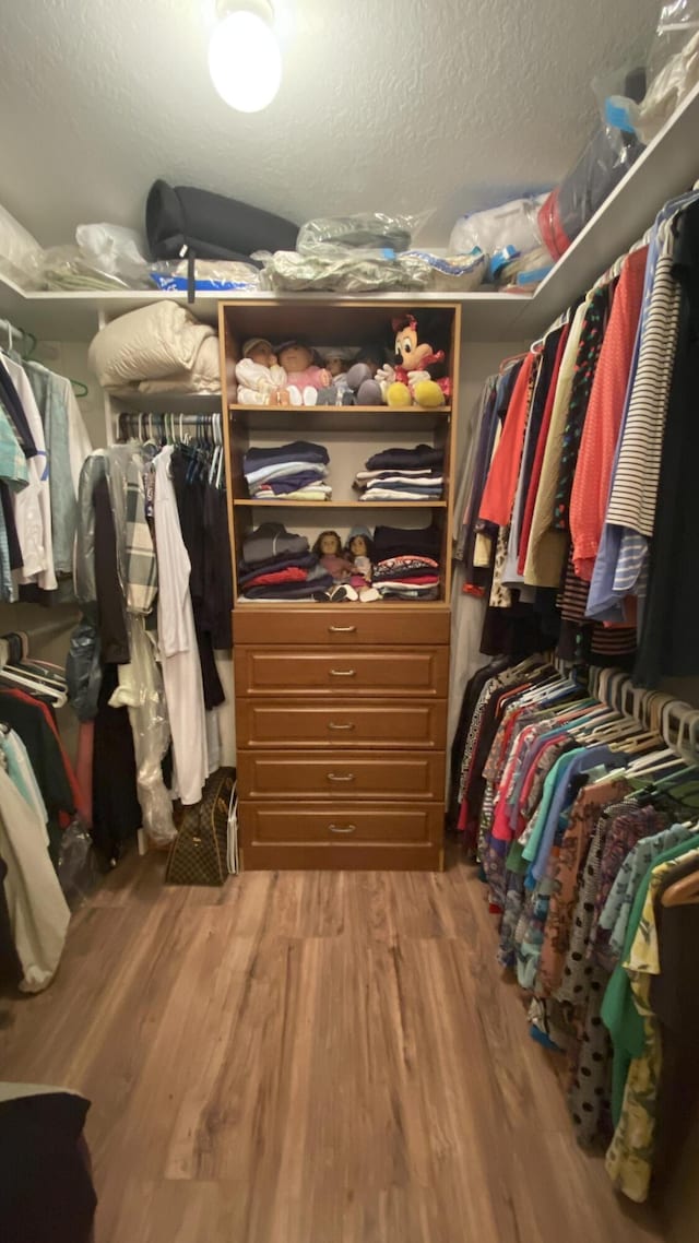 walk in closet featuring wood finished floors