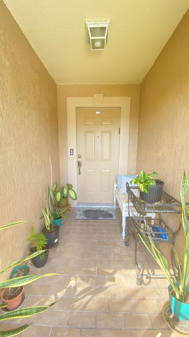 doorway to property featuring stucco siding