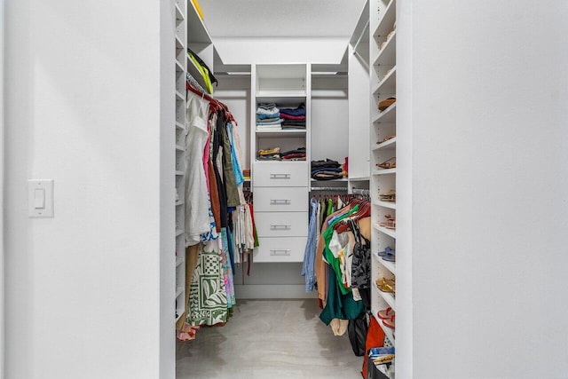 view of spacious closet