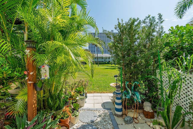 view of yard featuring a patio