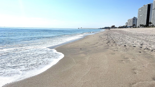 water view featuring a beach view