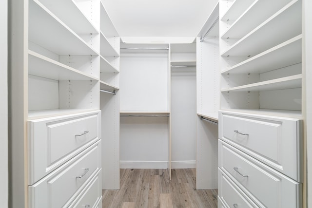 spacious closet featuring light wood-type flooring