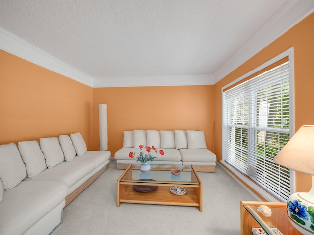 10282 Hunt Club Ln, Palm Beach Gardens, FL 33418 - carpeted living area with crown molding and a textured ceiling