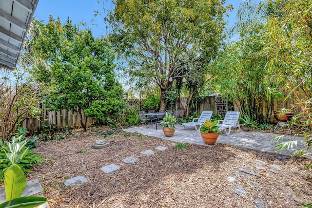 view of yard with a patio and a fenced backyard