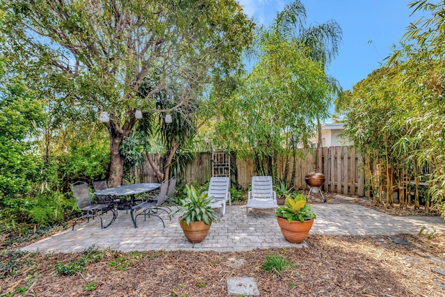 view of yard featuring a patio area and a fenced backyard