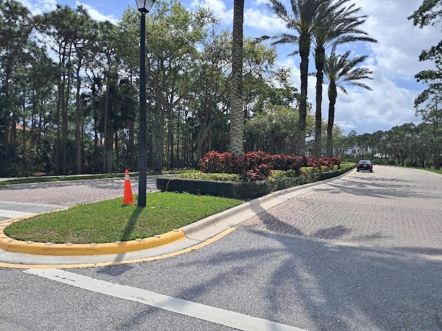 view of street featuring street lighting and curbs