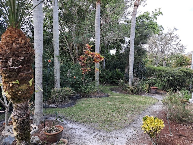 7260 SE Magellan Ln, Stuart, FL 34997 - view of grassy yard