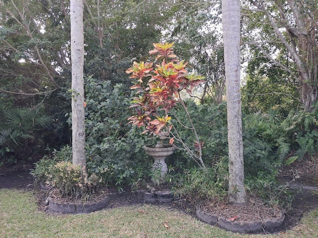 7260 SE Magellan Ln, Stuart, FL 34997 - view of yard
