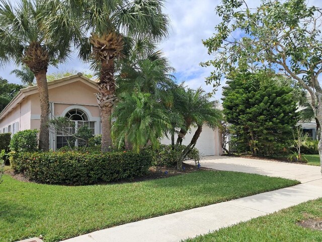 obstructed view of property featuring a front yard, driveway, and stucco siding