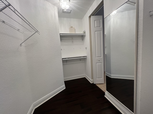 walk in closet featuring wood finished floors