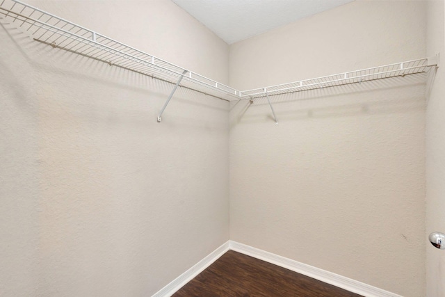 walk in closet with dark wood-style floors