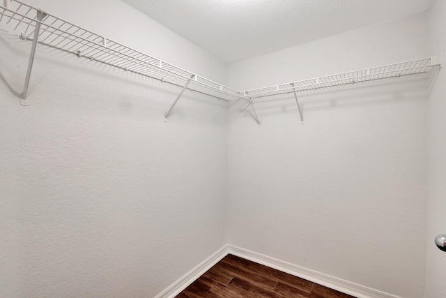 walk in closet featuring dark wood-style floors