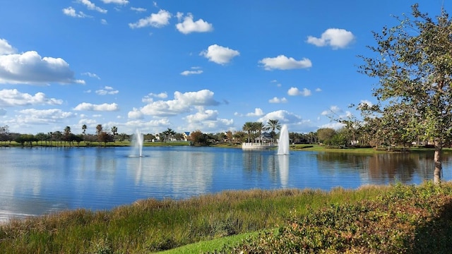 view of water feature