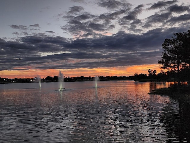 property view of water