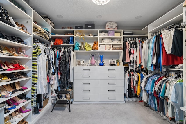 10786 Greenbriar Villa Dr, Lake Worth, FL 33449 - spacious closet with light carpet