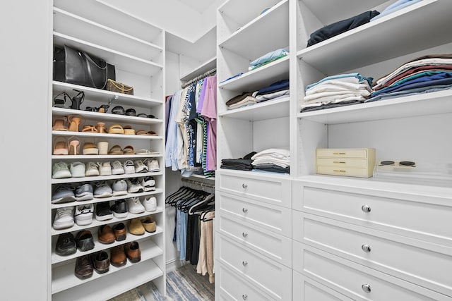 walk in closet featuring wood finished floors