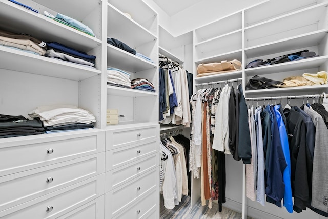 view of spacious closet