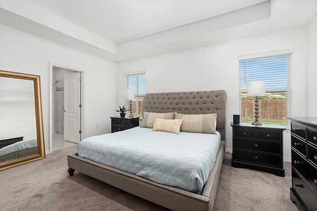 bedroom with light carpet and a raised ceiling