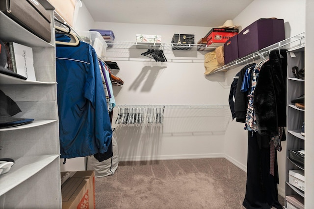 spacious closet with carpet floors