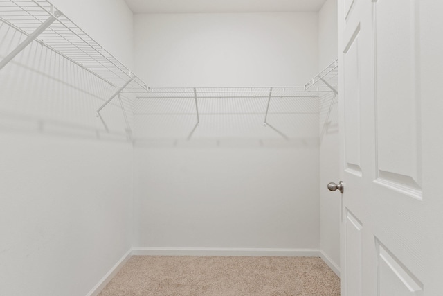 walk in closet with light colored carpet