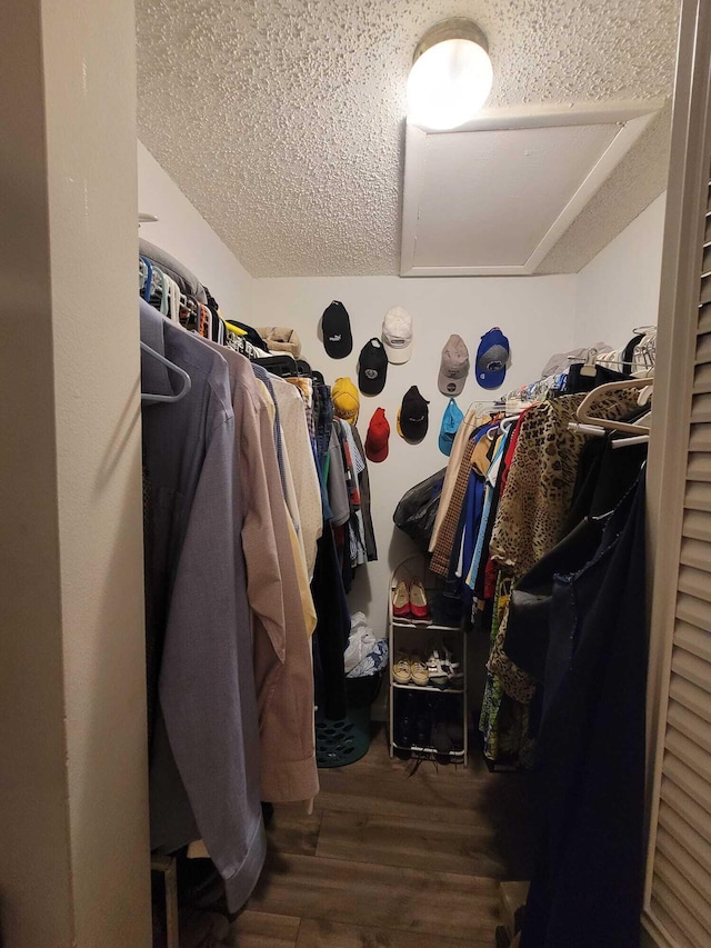 spacious closet featuring wood finished floors