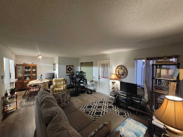 living area featuring a textured ceiling and wood finished floors