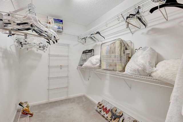 walk in closet featuring carpet floors