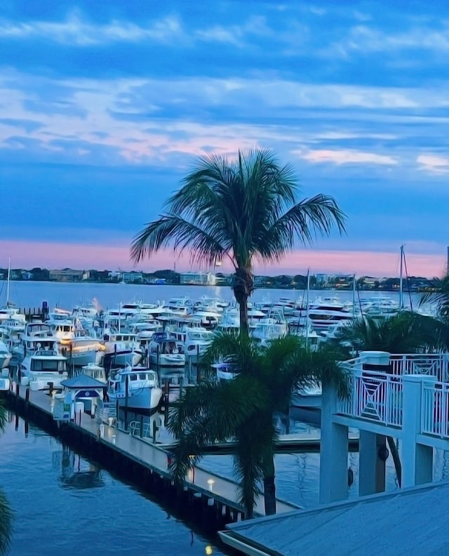 water view with a dock