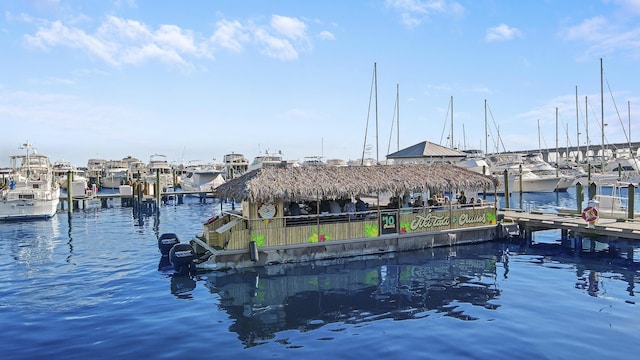 dock area with a water view