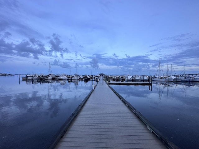 dock area with a water view