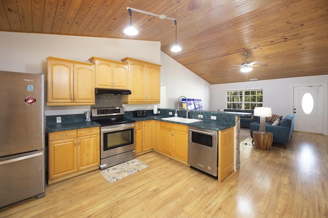 kitchen featuring light wood-style flooring, appliances with stainless steel finishes, a sink, a peninsula, and under cabinet range hood