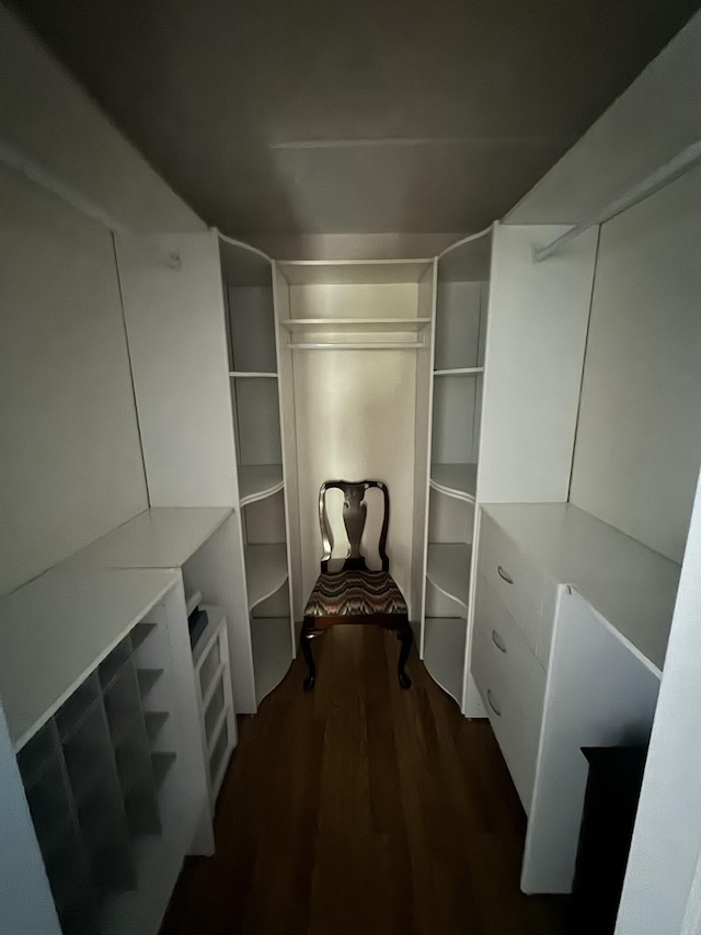 spacious closet with dark wood finished floors