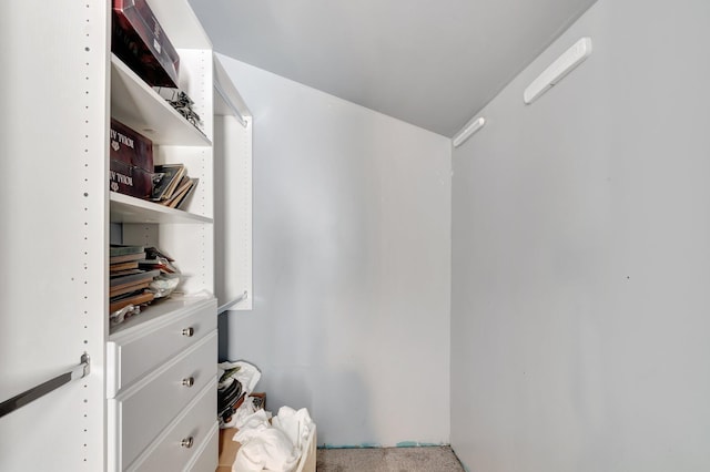 spacious closet with carpet floors