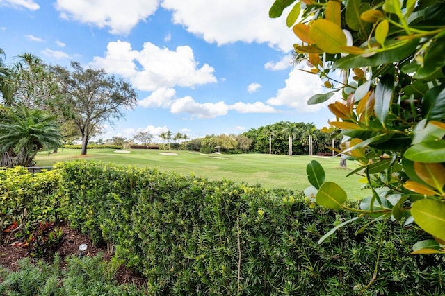 view of yard with golf course view