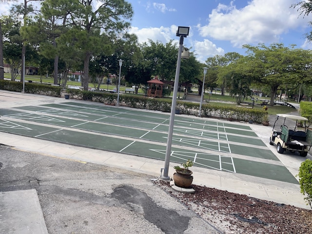 surrounding community with shuffleboard