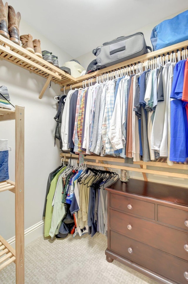 walk in closet with carpet flooring