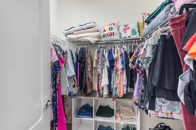 view of spacious closet