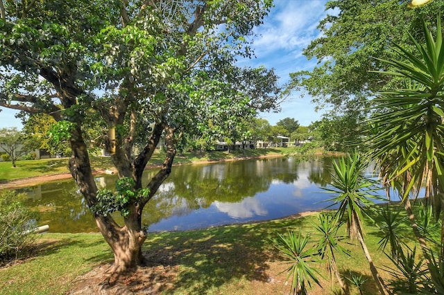 property view of water