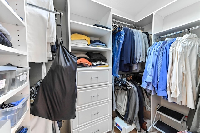 view of spacious closet