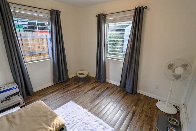 interior space featuring multiple windows, baseboards, and wood finished floors